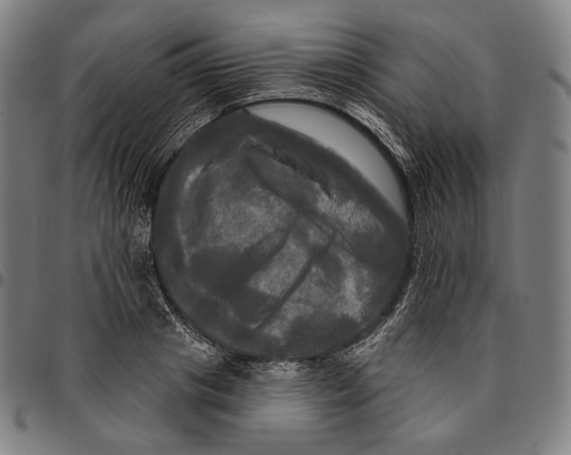 X0000095110841200801041158