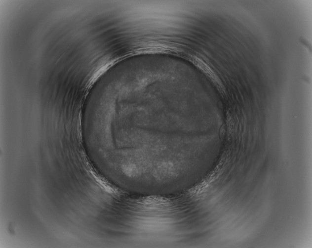 X0000095110842200801041158