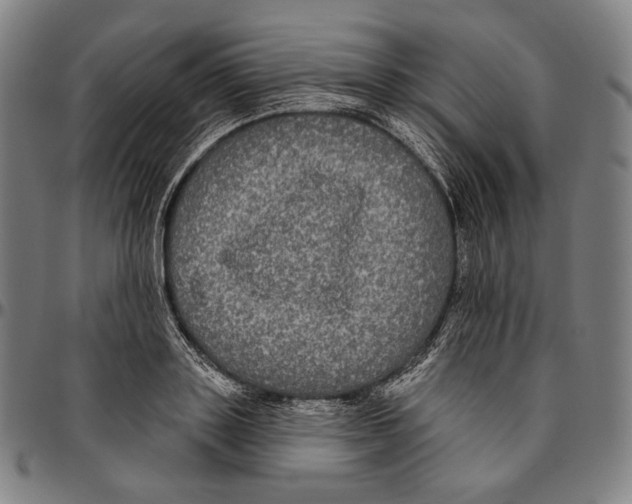 X0000095110843200801041158
