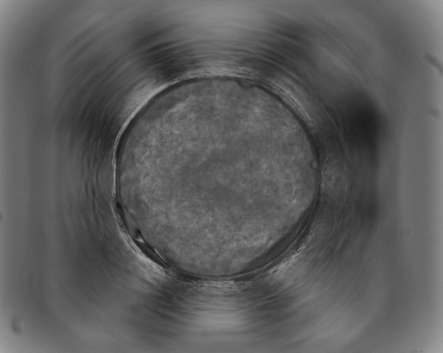 X0000095110844200801041158