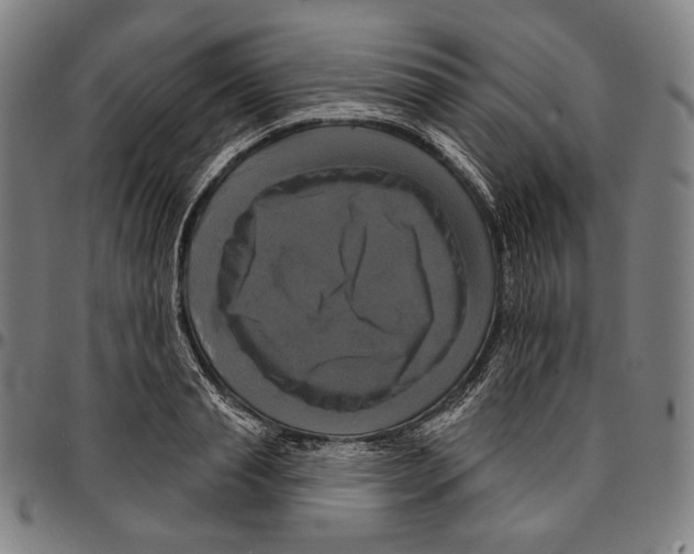 X0000095110845200801041158