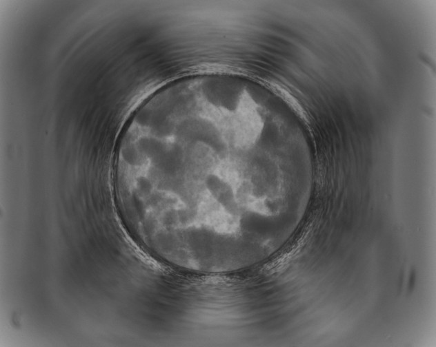 X0000095110847200801041158