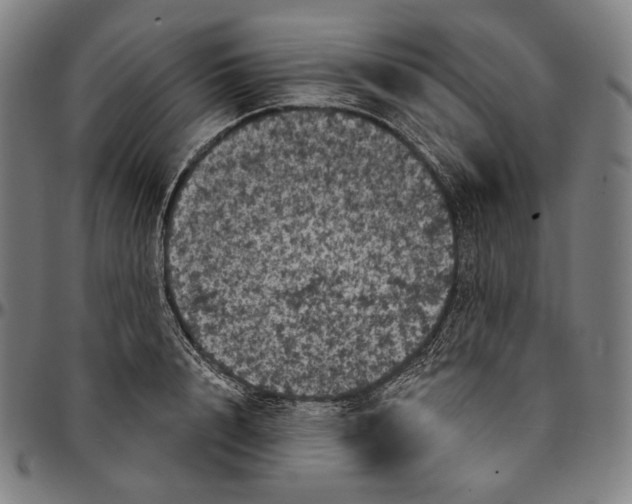 X0000095110848200801041158