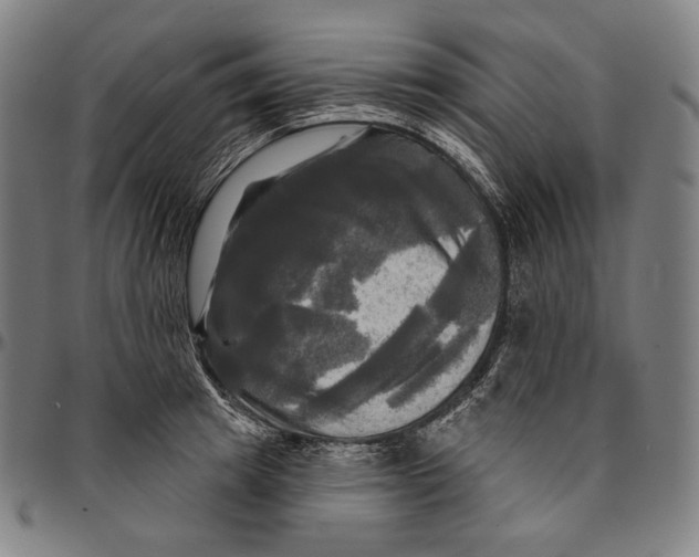 X0000095110849200801041158