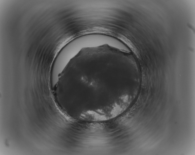 X0000095110850200801041158