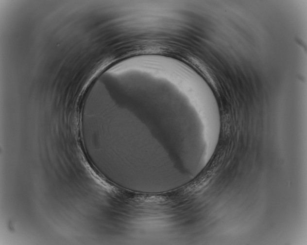 X0000095110851200801041158