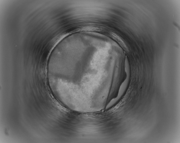 X0000095110852200801041158
