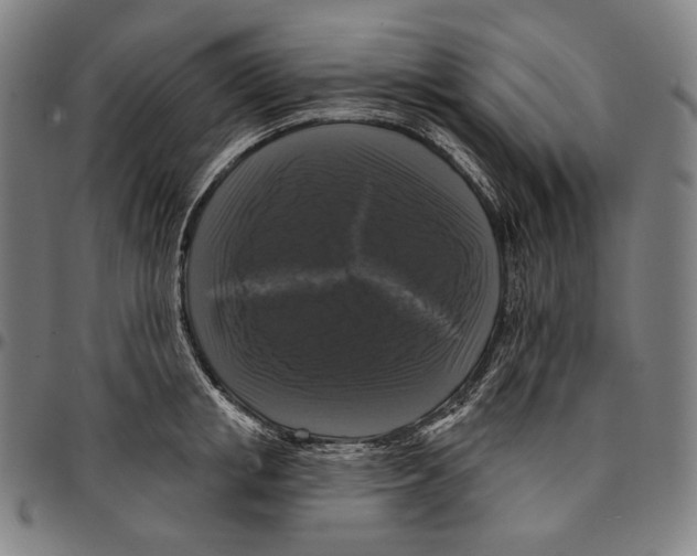 X0000095110853200801041158