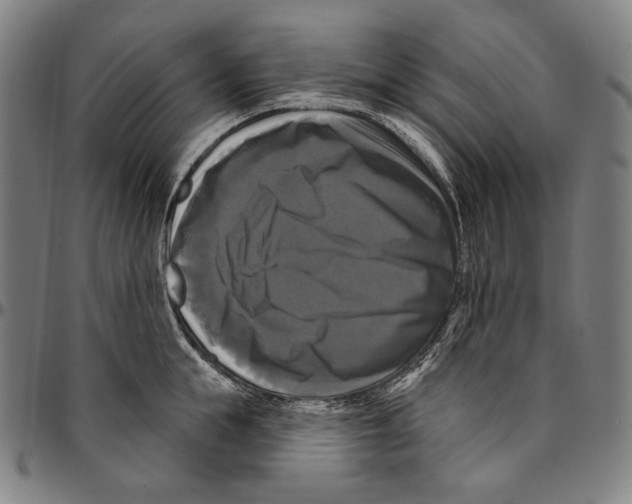 X0000095110855200801041158