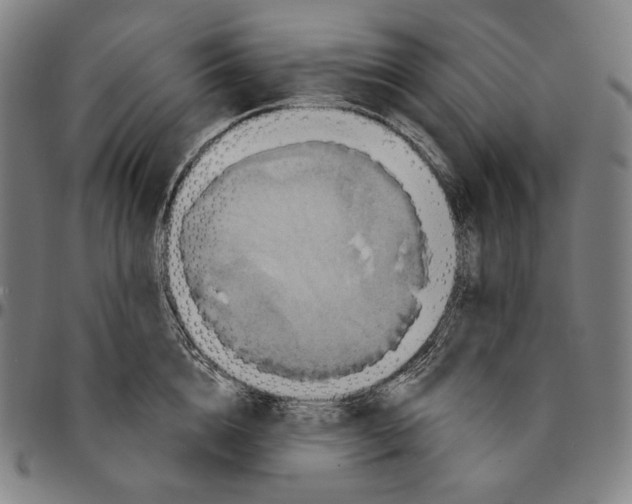 X0000095110856200801041158