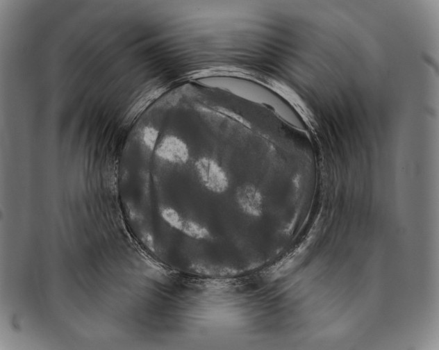 X0000095110857200801041158