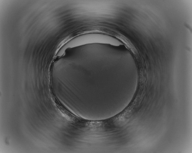 X0000095110858200801041158
