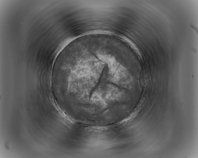 X0000095110860200801041159