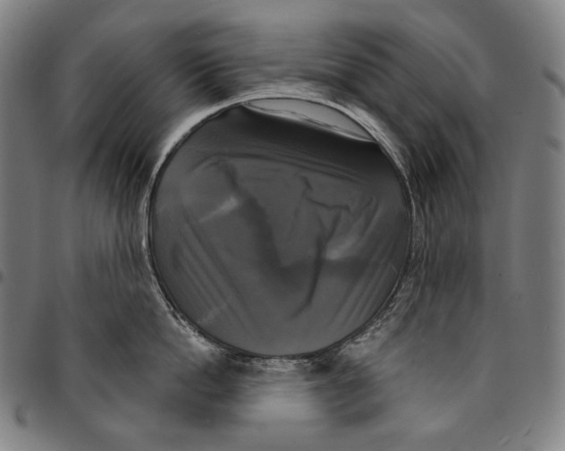 X0000095110862200801041159