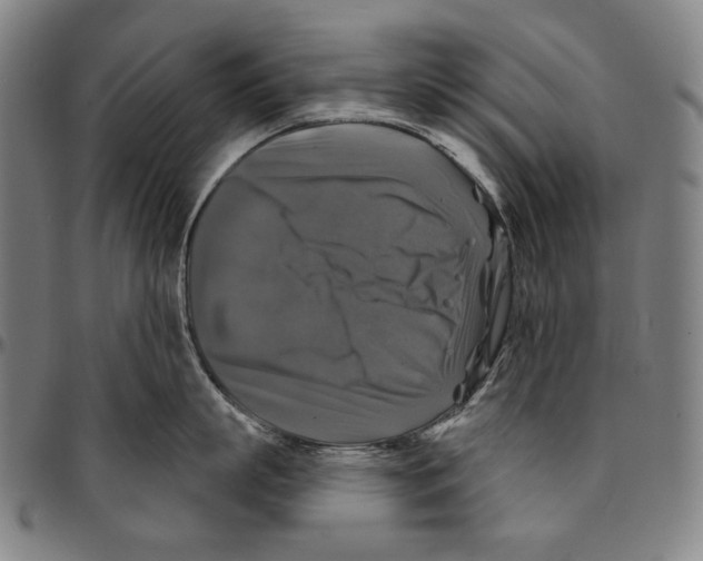 X0000095110863200801041159