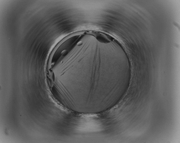 X0000095110864200801041159