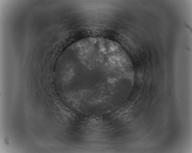 X0000095110865200801041158