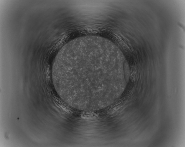 X0000095110866200801041158
