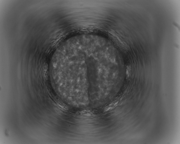 X0000095110867200801041158