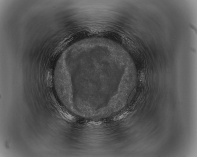 X0000095110868200801041158