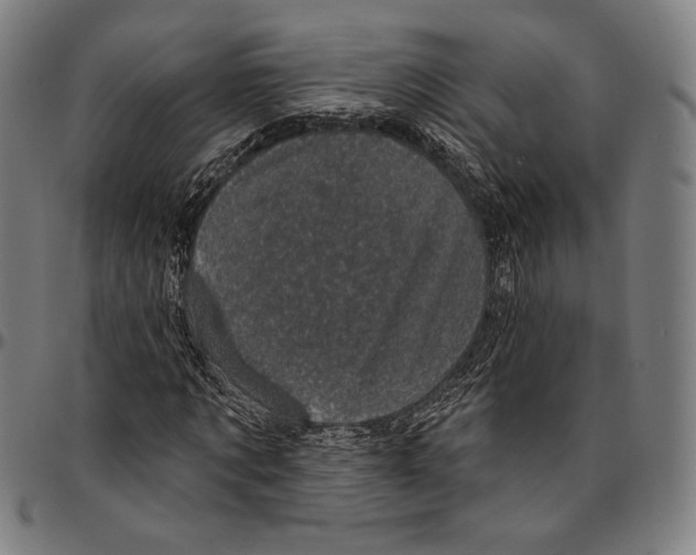 X0000095110869200801041158