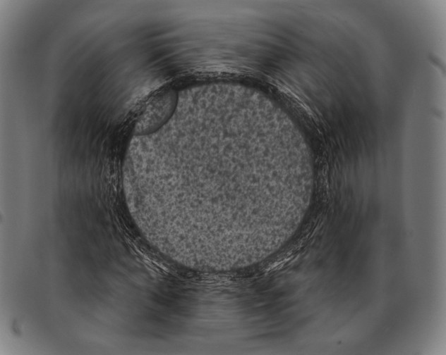X0000095110870200801041158