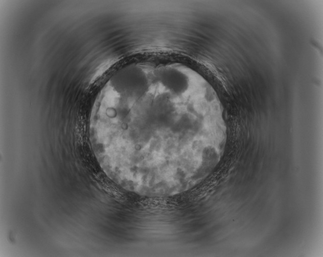 X0000095110871200801041158