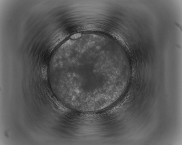 X0000095110873200801041158