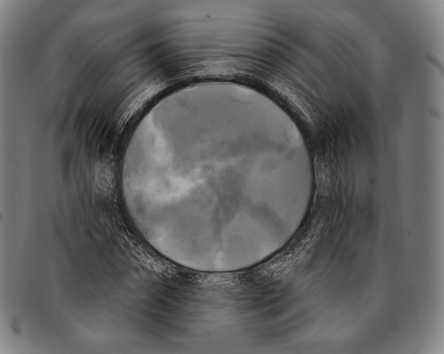 X0000095110874200801041158