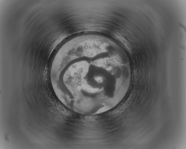X0000095110875200801041158
