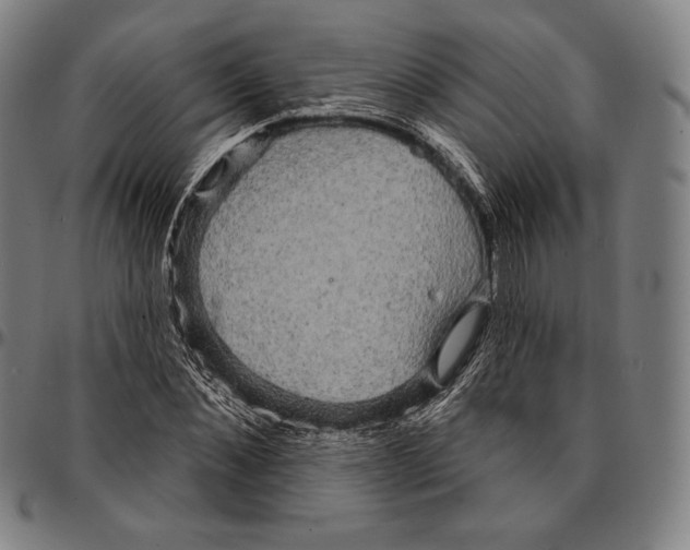 X0000095110876200801041158