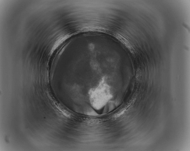 X0000095110877200801041158