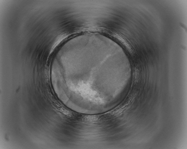 X0000095110878200801041158
