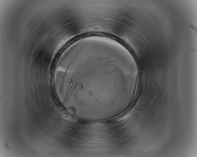 X0000095110879200801041158