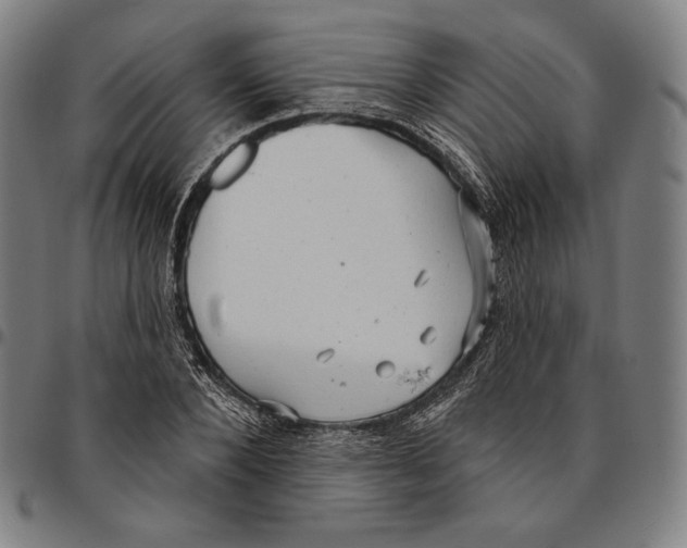 X0000095110880200801041158