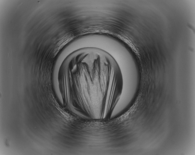 X0000095110881200801041158