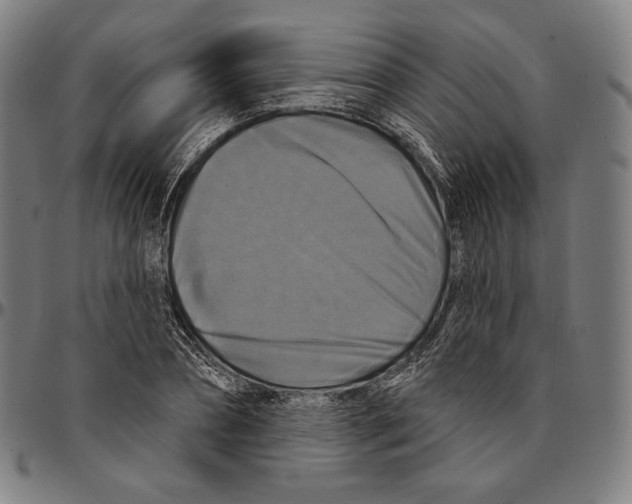 X0000095110882200801041158