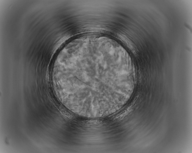 X0000095110883200801041158
