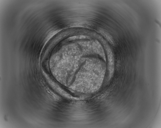 X0000095110884200801041158