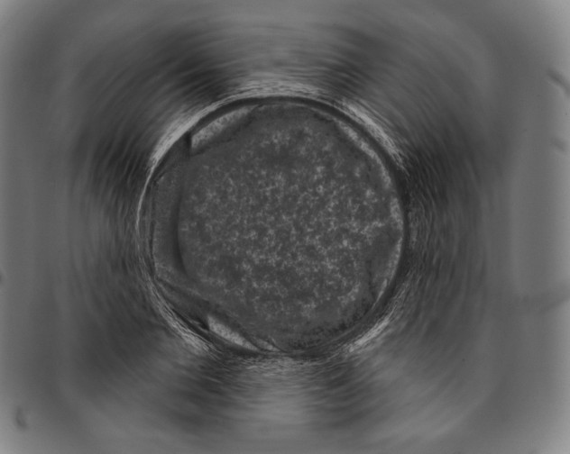 X0000095110885200801041158