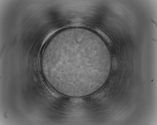 X0000095110886200801041158