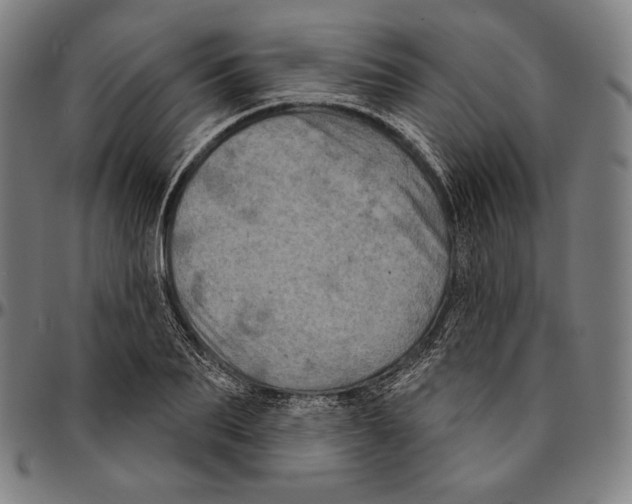 X0000095110887200801041158