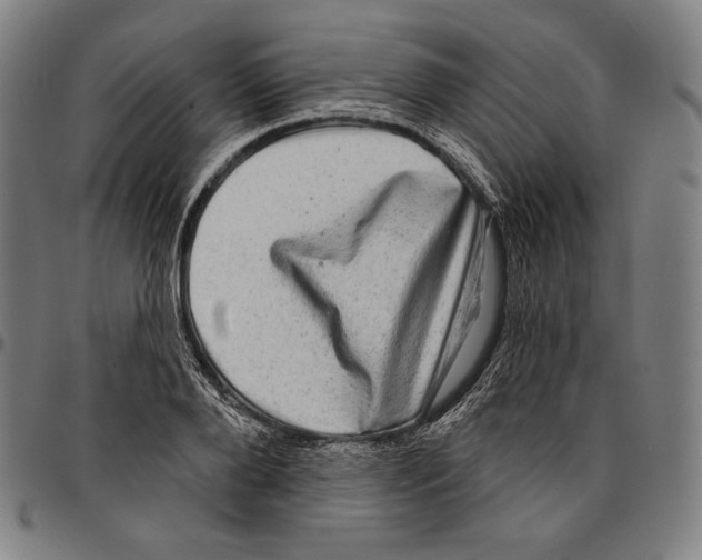 X0000095110888200801041158