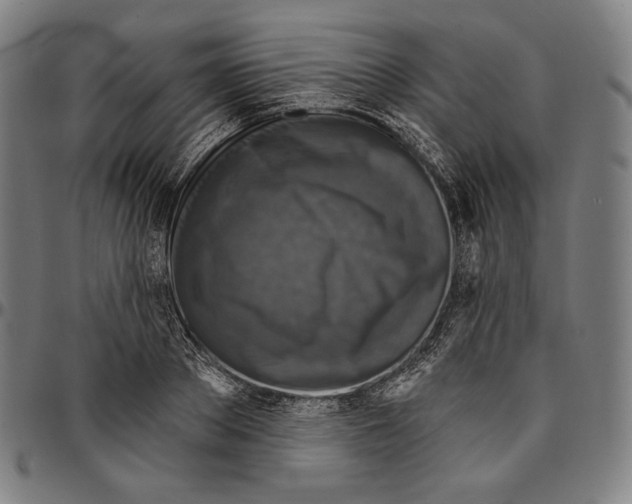 X0000095110889200801041158