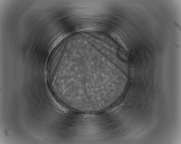 X0000095110890200801041158