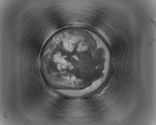 X0000095110891200801041158