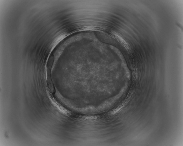 X0000095110892200801041158