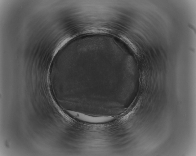 X0000095110893200801041158