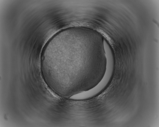 X0000095110894200801041158