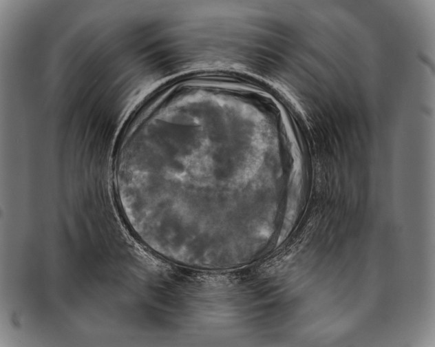 X0000095110895200801041157